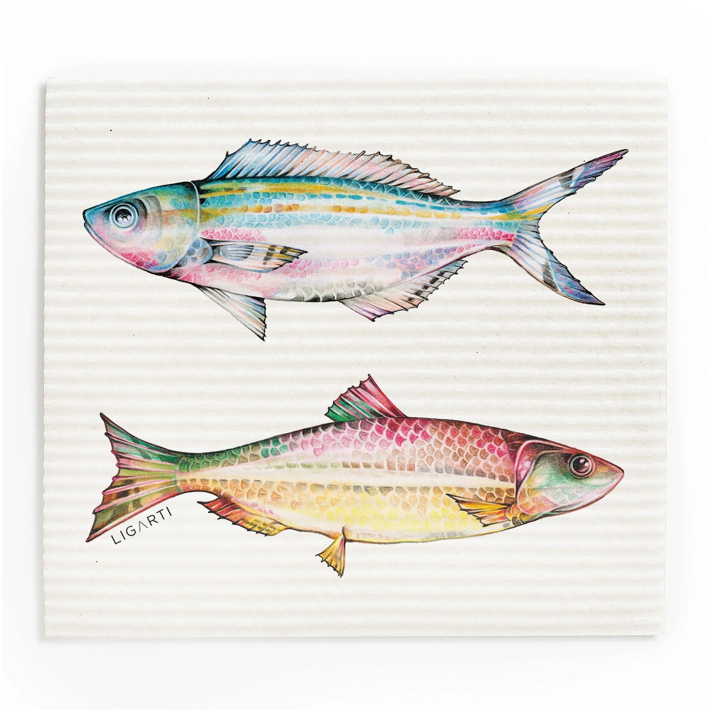 Schwammtuch 3er Set - Buntfische