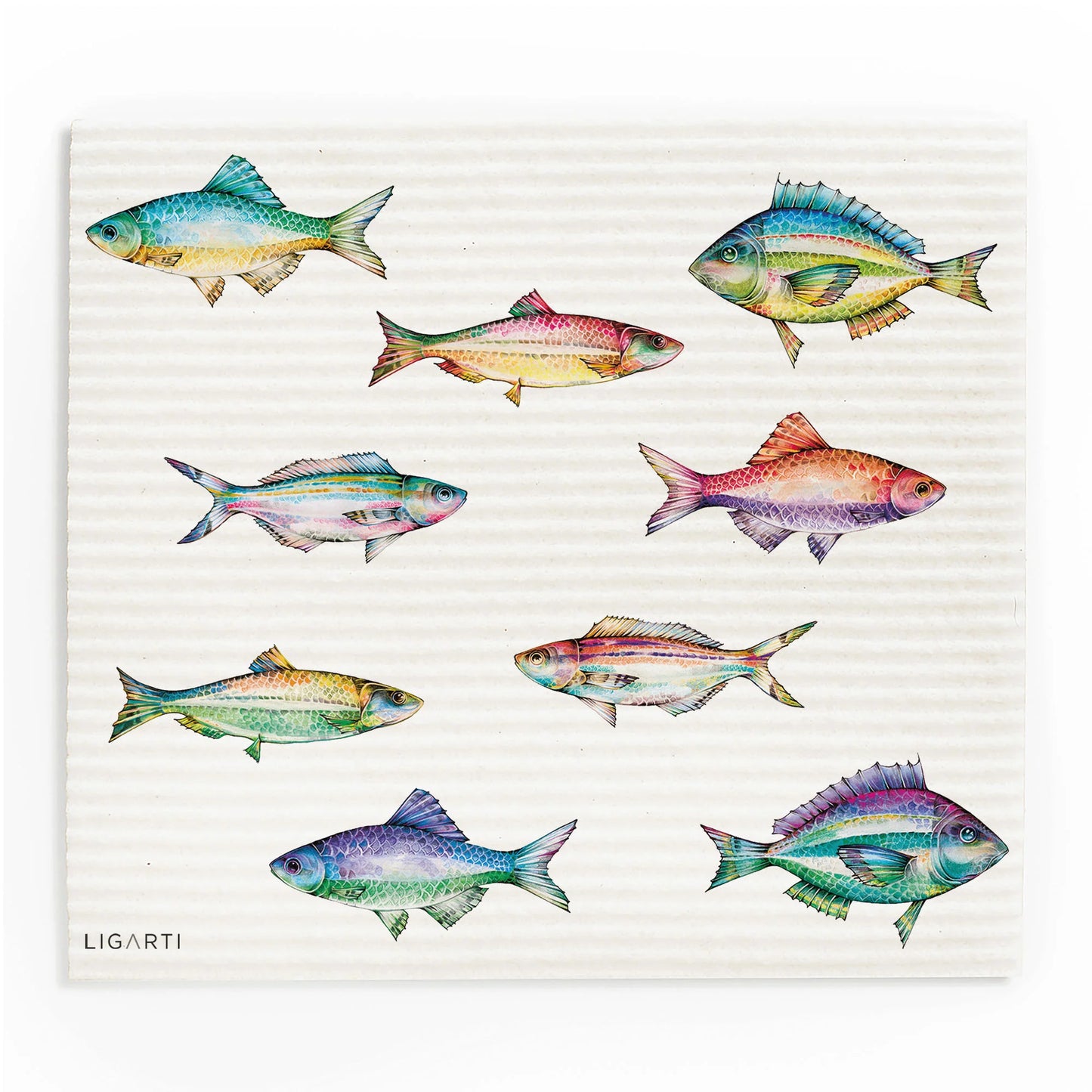 Schwammtuch 3er Set - Buntfische