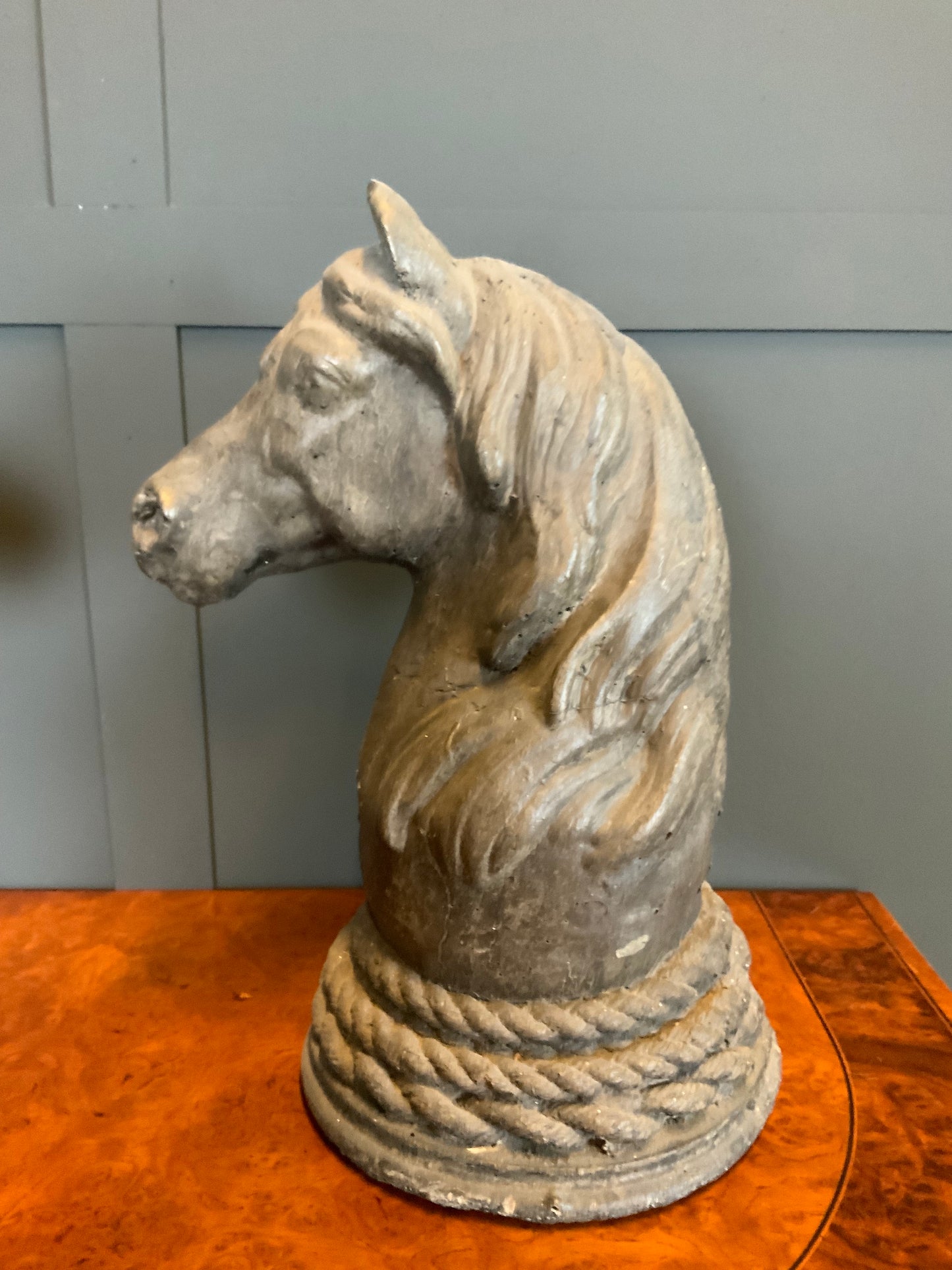 Büste Equus