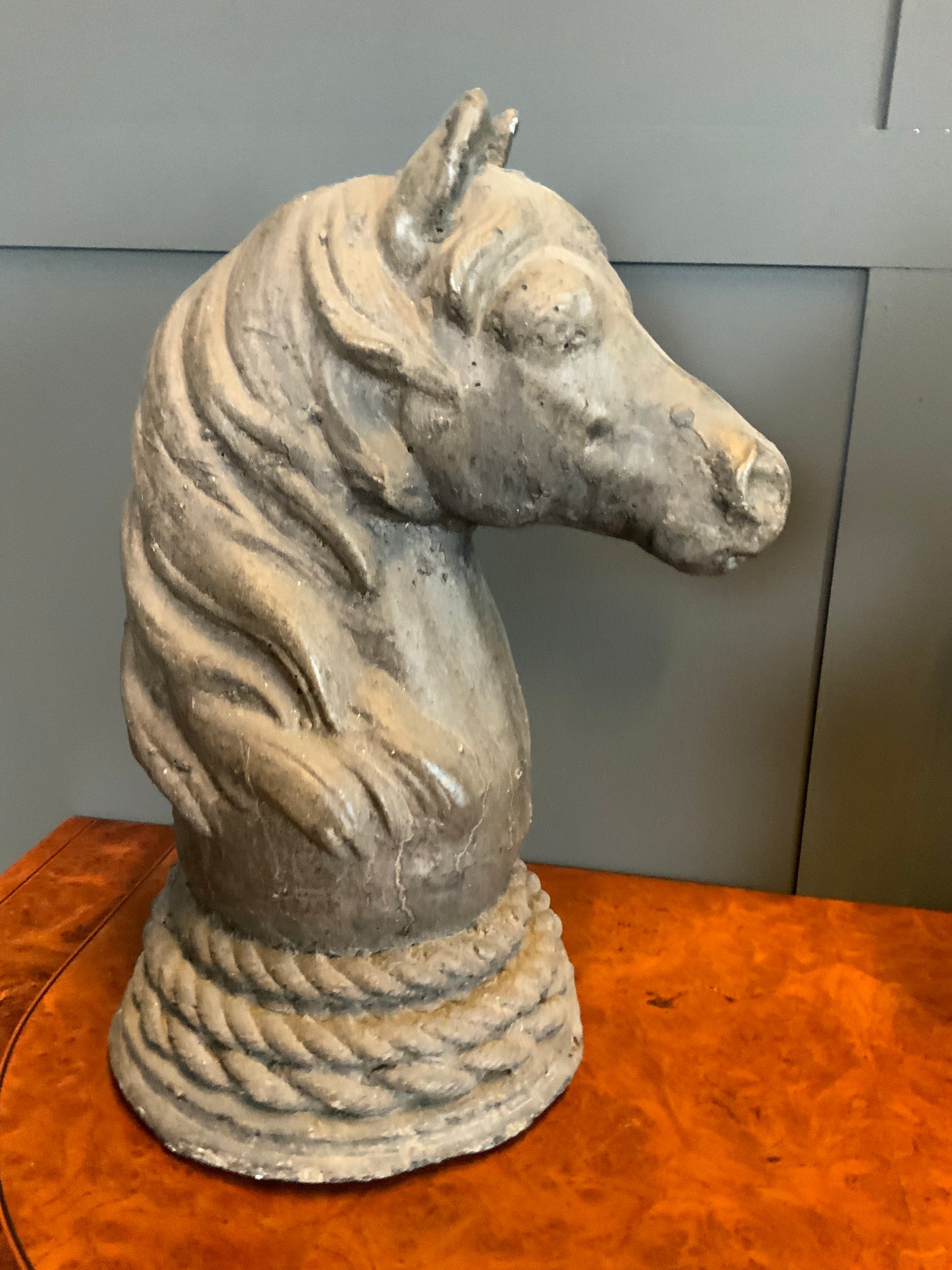 Büste Equus