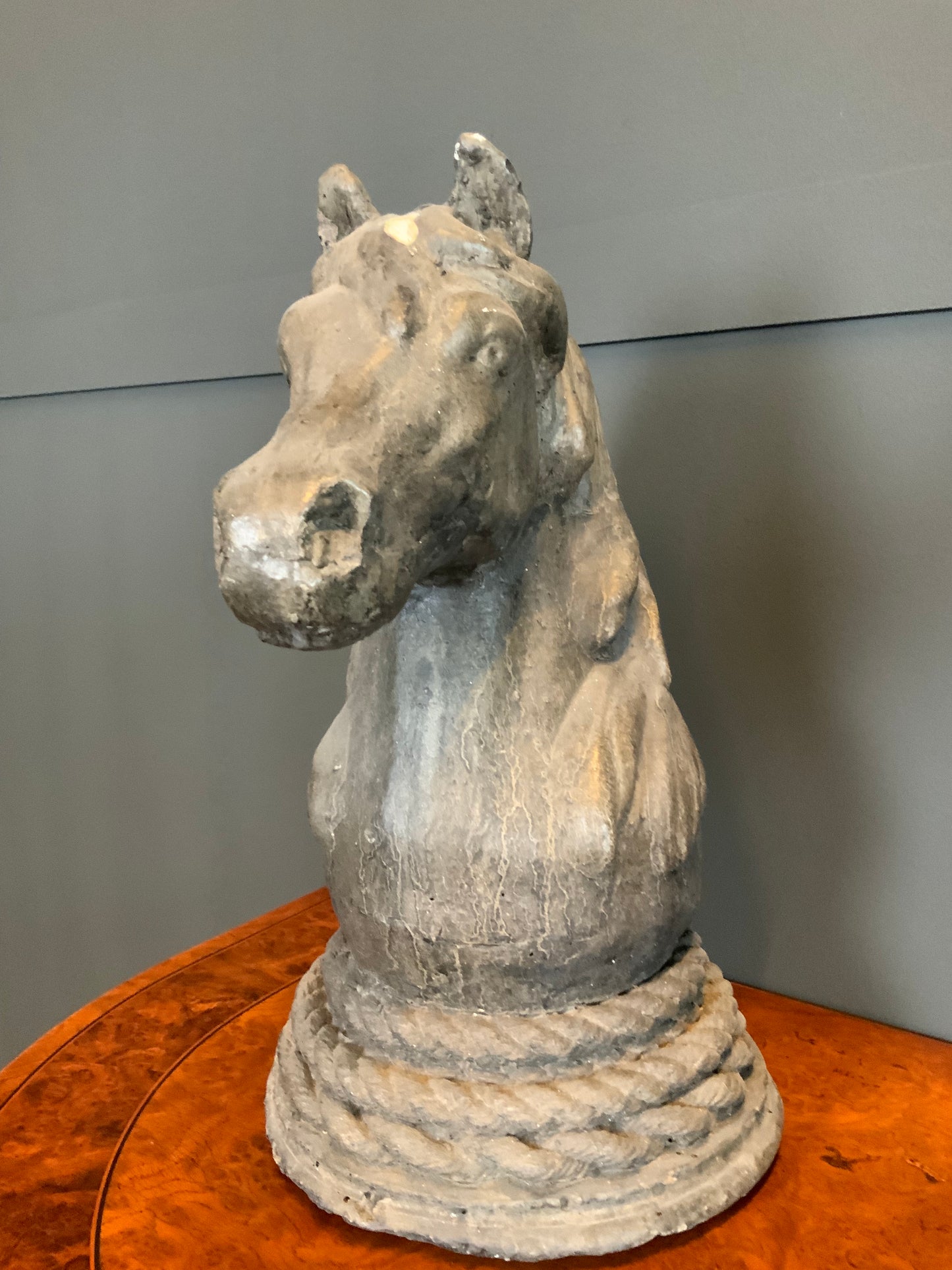 Büste Equus