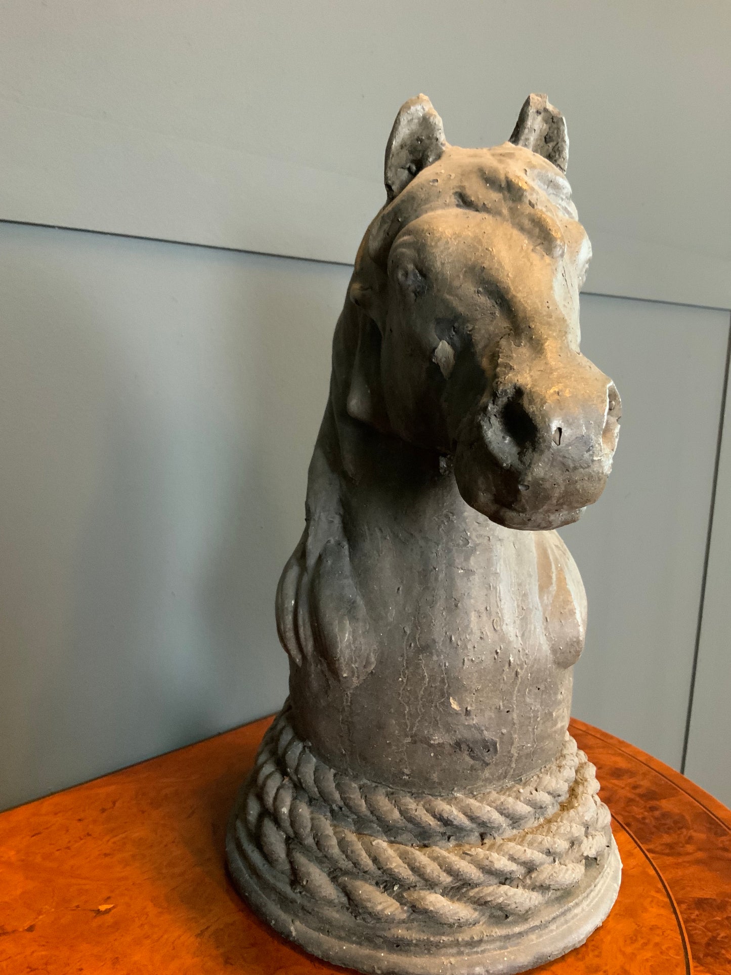 Büste Equus