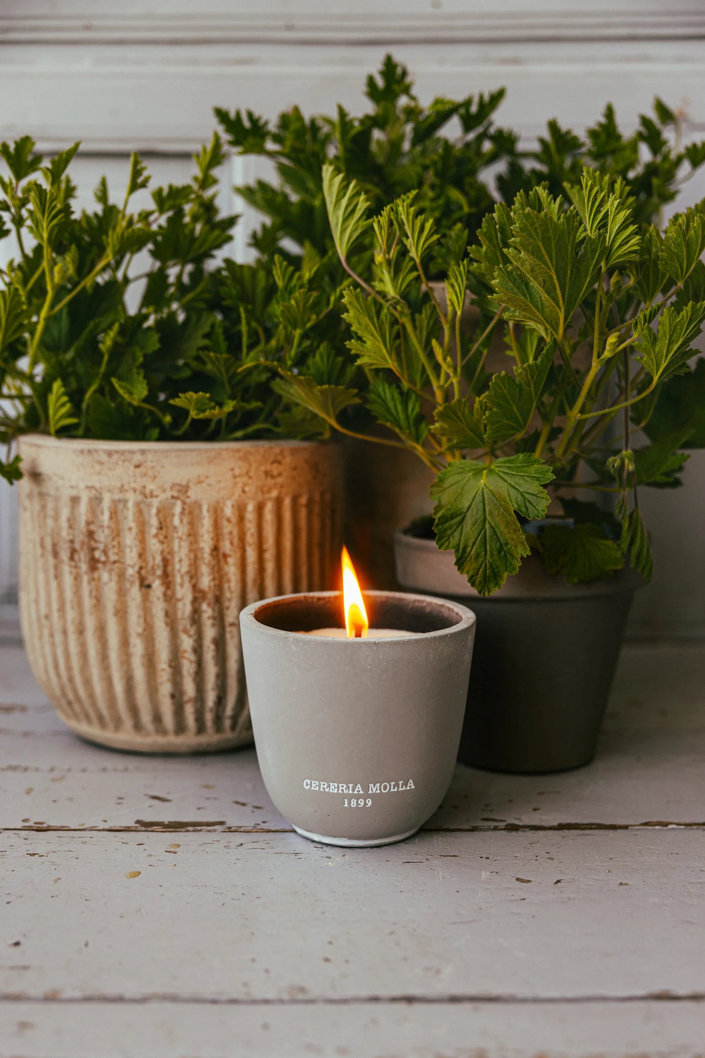 Cereria Mollà Citronella Mint Outdoor-Kerze – Kerze brennend