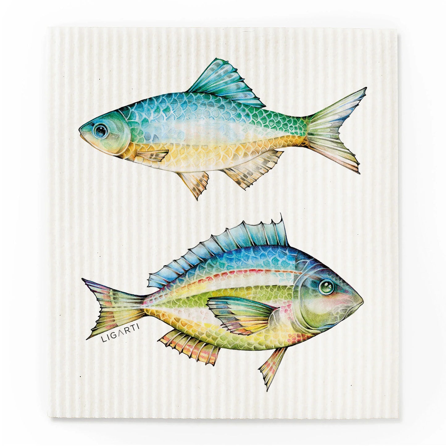 Schwammtuch 3er Set - Buntfische