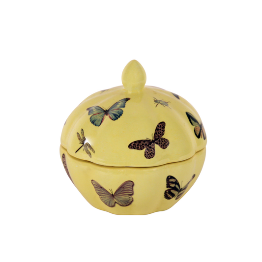 Dose Farfalle